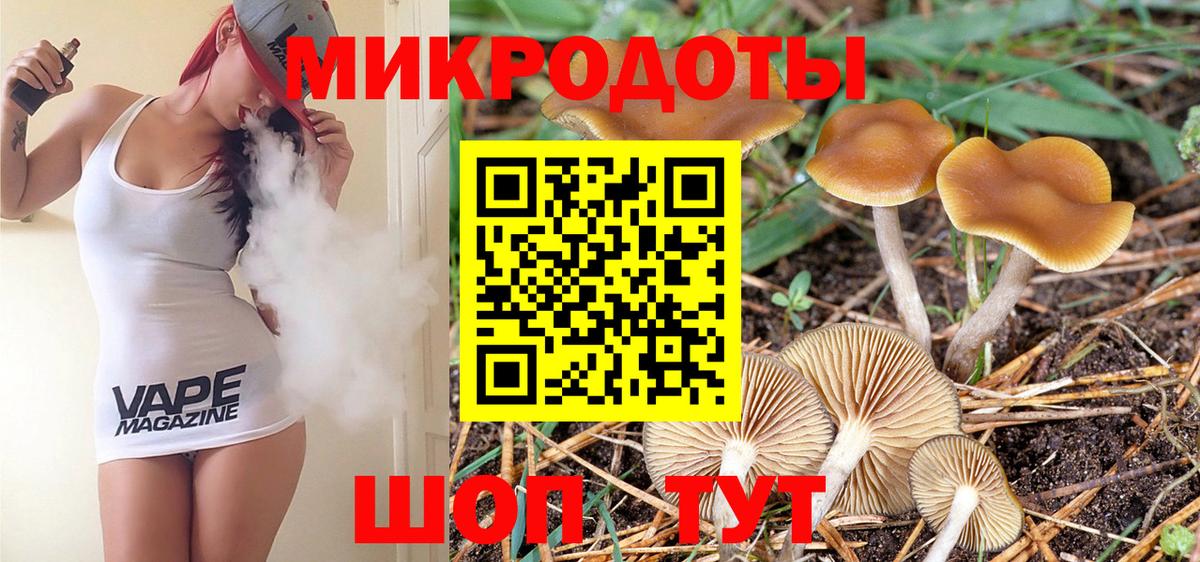 Галлюциногенные грибы Cubensis Петропавловск-Камчатский